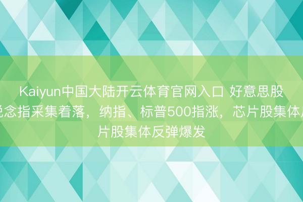 Kaiyun中国大陆开云体育官网入口 好意思股收盘：说念指采集着落，纳指、标普500指涨，芯片股集体反弹爆发